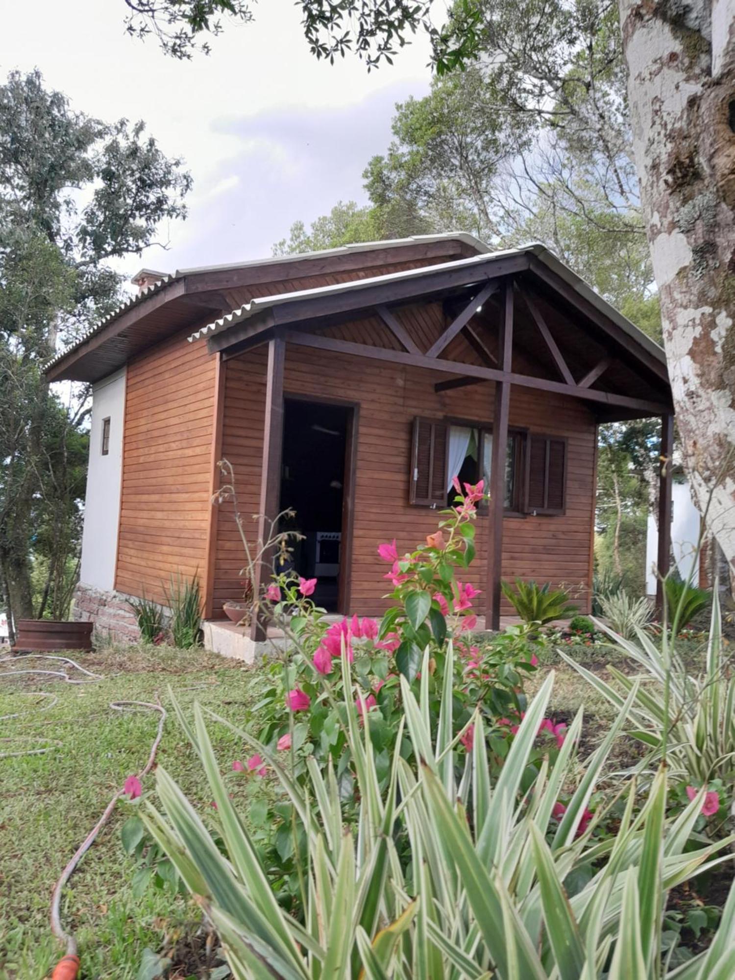Cabanas Dos Pinheiros Сан-Франсиску-ди-Паула Номер фото