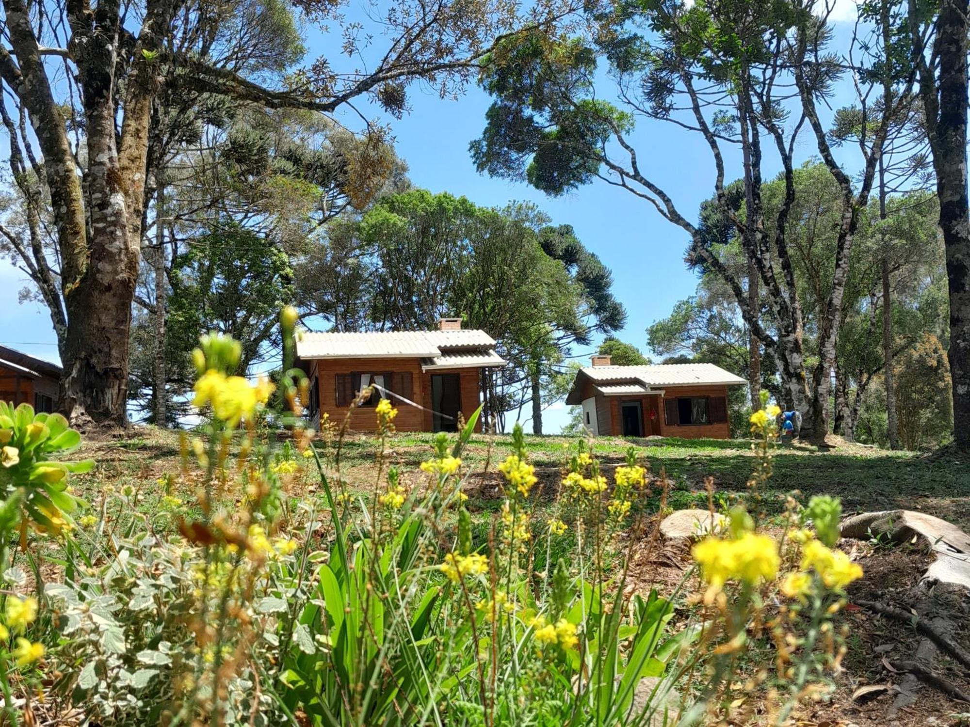 Cabanas Dos Pinheiros Сан-Франсиску-ди-Паула Номер фото